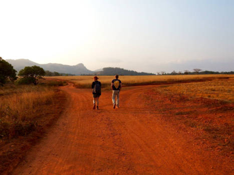 eSwatini (voorheen Swaziland) - Path of silence