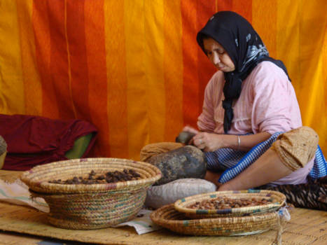 Marrakesh - Bereiding van de argan olie