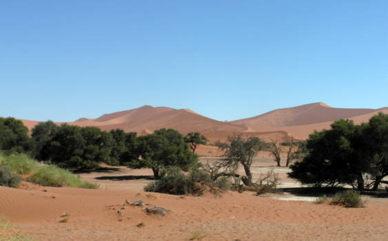 Sossusvlei - Prachtige Natuur.