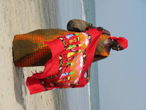 Senegambia - African Queen