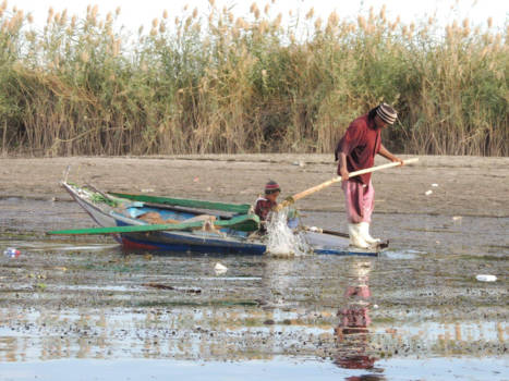 Luxor - Fishers on the Nile