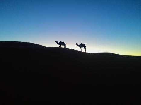 Merzouga - Avondwandeling in de Merzouga woestijn