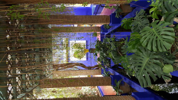 Marrakesh - Jardin Le majorelle