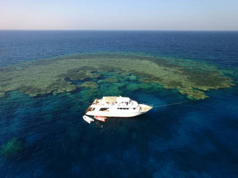 Egypte - Dronie op de Rode Zee