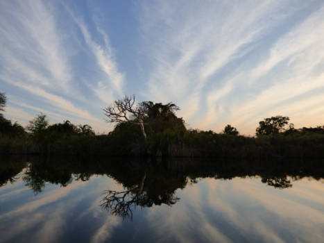 Okavango Delta - Adembenemende natuur in Bostwana