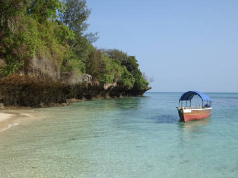 Stranden van Zanzibar - Prison island