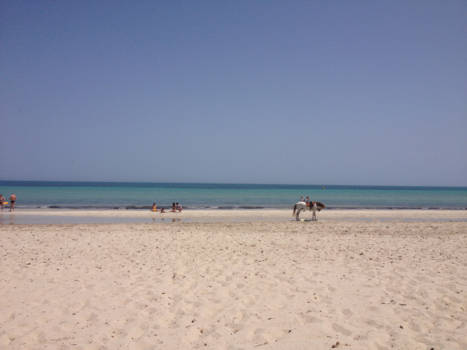 Djerba - A Horse With No Name