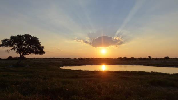 Namibië - Sunset Etosha National Park