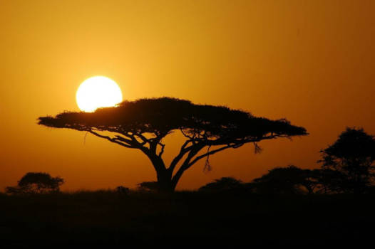 Tanzania - Sunset serengeti