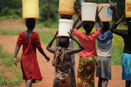 Zambia - Earth Tones