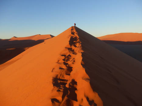 Namibië - Dune 45
