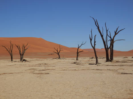 Namibië - Deadvlei