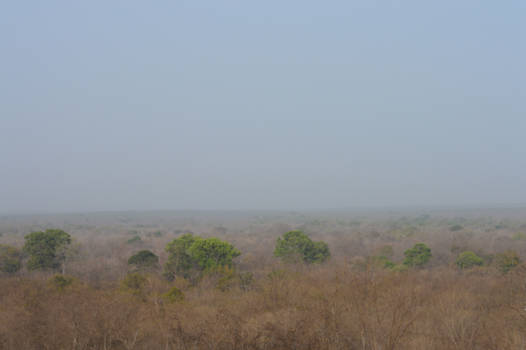 Mole National Park - Holy Mole!