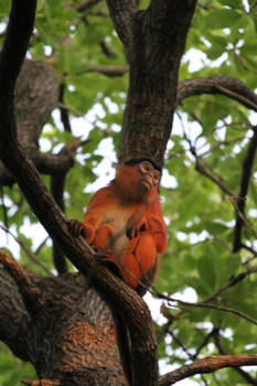 Banjul - Theo op reis