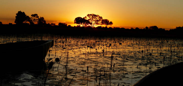 Okavango Delta - De delta in sunset