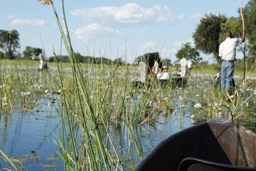 Okavango Delta