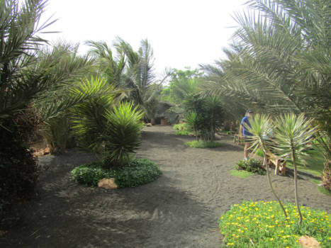 Sal - Botanische tuin