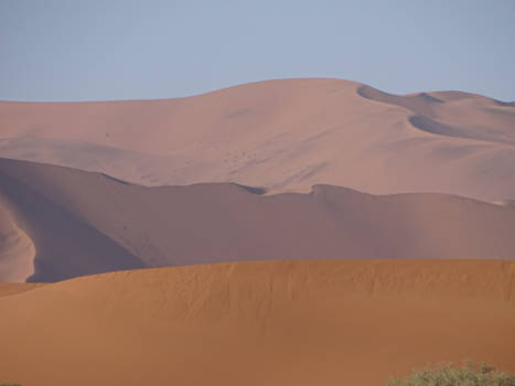 Sossusvlei - Ongekende schoonheid