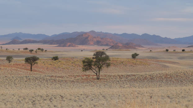 Namib-Naukluft National Park - Schemering bij tok tokkie trail