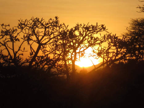 Kenia - You have to be awake to see the beauty of the morning