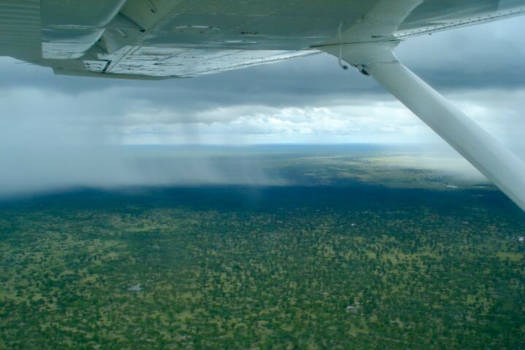 Chobe National Park - Zicht op de Okavanga Delta met een regenbui voor ons, vanuit een Cessna genomen