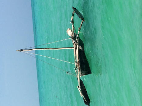 Stranden van Zanzibar - Vrijheid