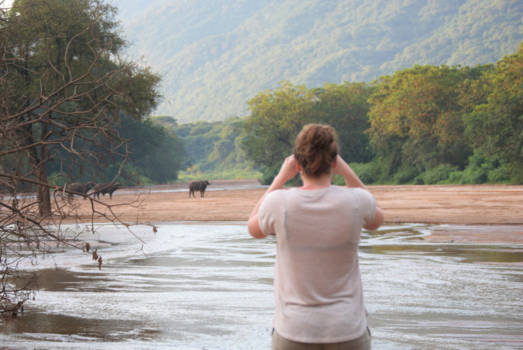 Serengeti National Park - Wie houdt wie in de gaten?