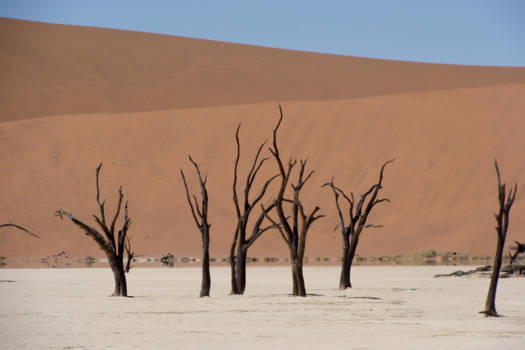 Namibië - Death Valley