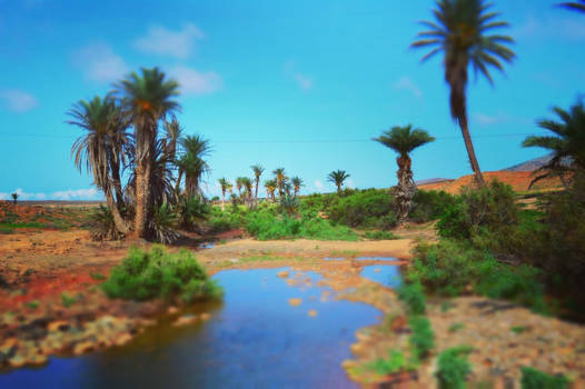 Boa Vista - Oase in de woestijn