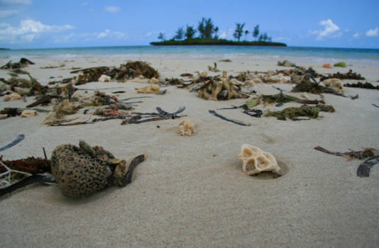 Tanzania - Op een onbewoond eiland.... zijn alle dagen fijn!