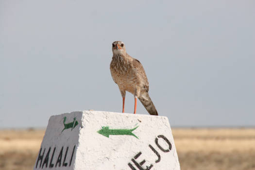 Etosha National Park - wegwijzer