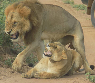 Uganda National Museum - Uitblazen na "de" daad!