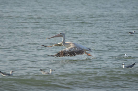 Tanji Vissersdorp - een visliefhebber