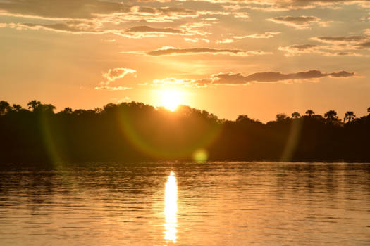 Victoria Falls (Zimbabwe) - Zambezi river