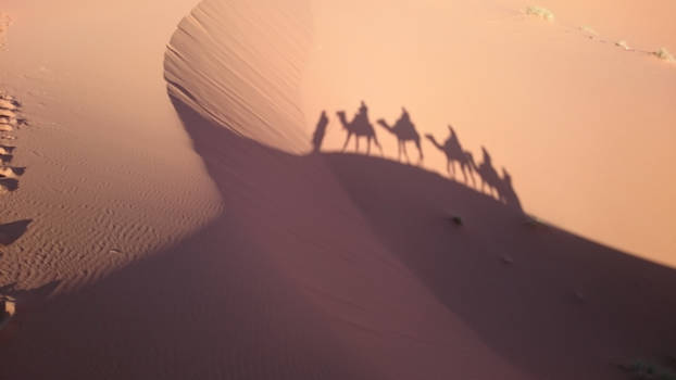 Merzouga - Onze woestijntocht op de dromedarissen (door de blauwe mannen 'camels' genaamd).