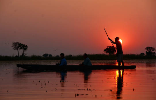 Okavango Delta - Catched by the sun