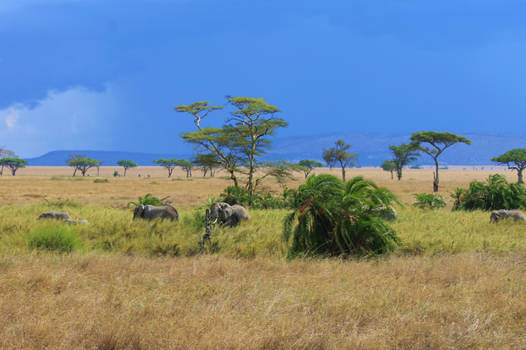 Tanzania