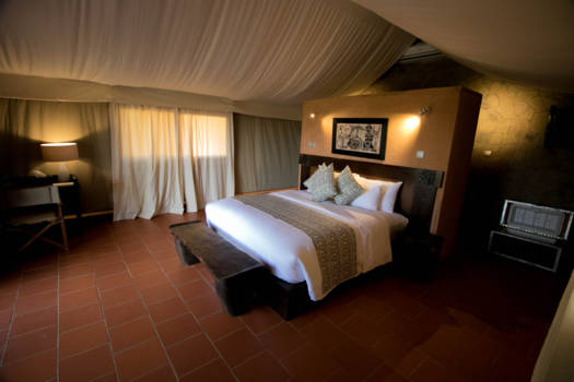 Ghana - Luxe safari resort, Mole park