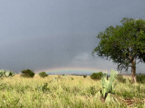 Oeganda - Uganda, Kidepo Parc