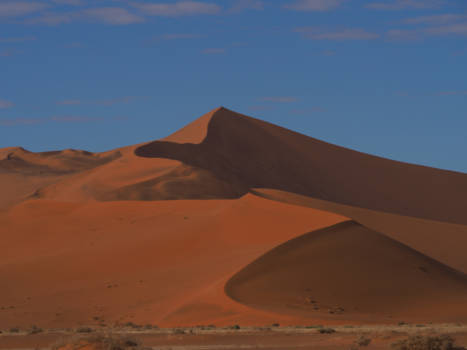 Namibië - Sossusvlei Big daddy dune