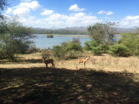 Malawi - Enjoying Malawi