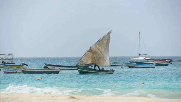 Sal - Locale vis vangers