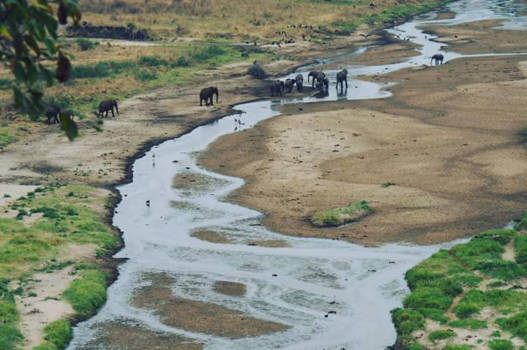 Tanzania - Crossing the river