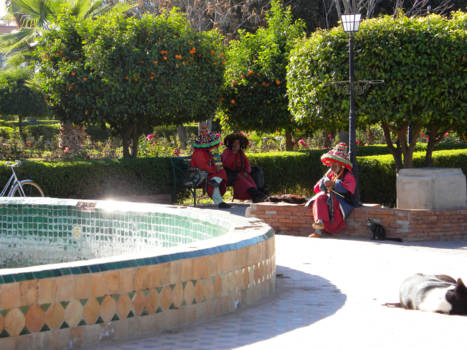 Marrakesh - Thee schenkers.