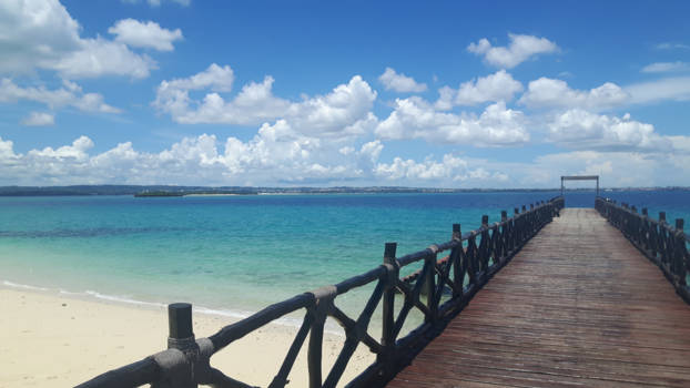 Stranden van Zanzibar - Amazing view