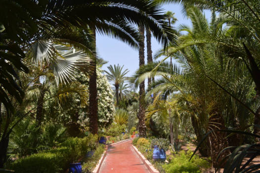 Marrakesh - Jardin Majorelle in Marrakech