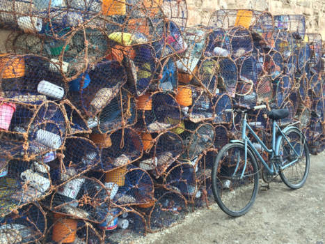 Marokko - Visafslag Essaouira