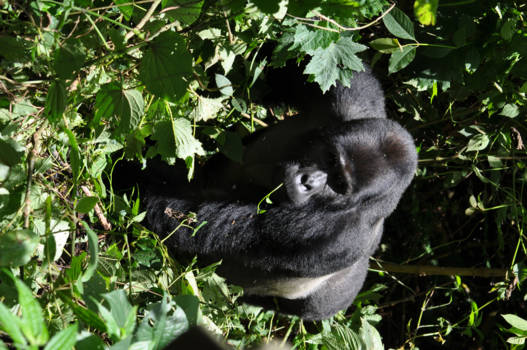 Oeganda - Zeg wat wil jij allemaal hier!!!
