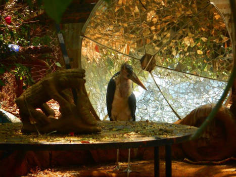 Nairobi - The beast in a beautiful surrounding