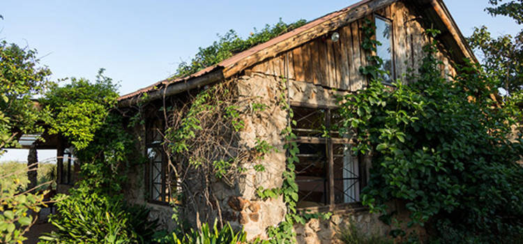 Nairobi - Logies naast het  park : Silole